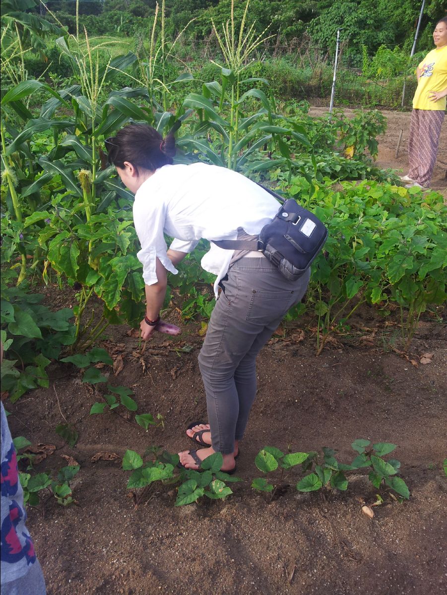 20100715Organic Farm14